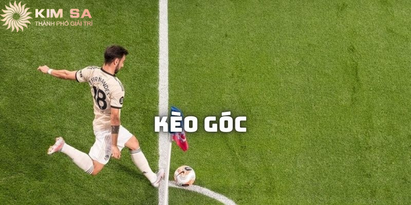 Người chơi đang phân tích kèo góc nhà cái trên màn hình điện thoại