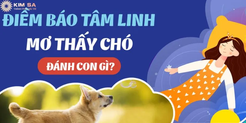 Tìm hiểu ý nghĩa nằm mơ thấy chó đánh số may