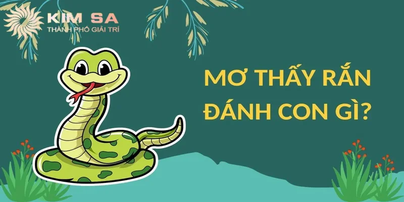 Giấc chiêm bao thấy rắn theo màu sắc chuẩn
