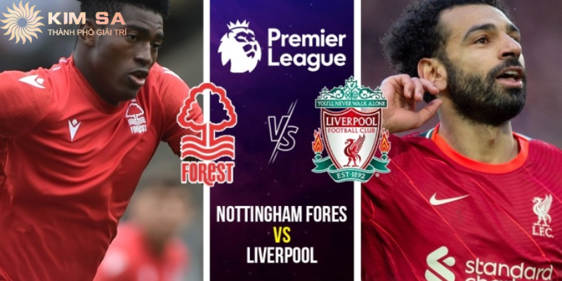 Phân tích chiến thuật soi kèo Liverpool từ các chuyên gia.