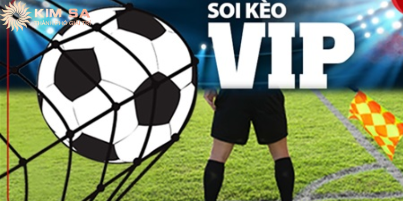 Người chơi tham khảo thông tin soi kèo trước khi đặt cược